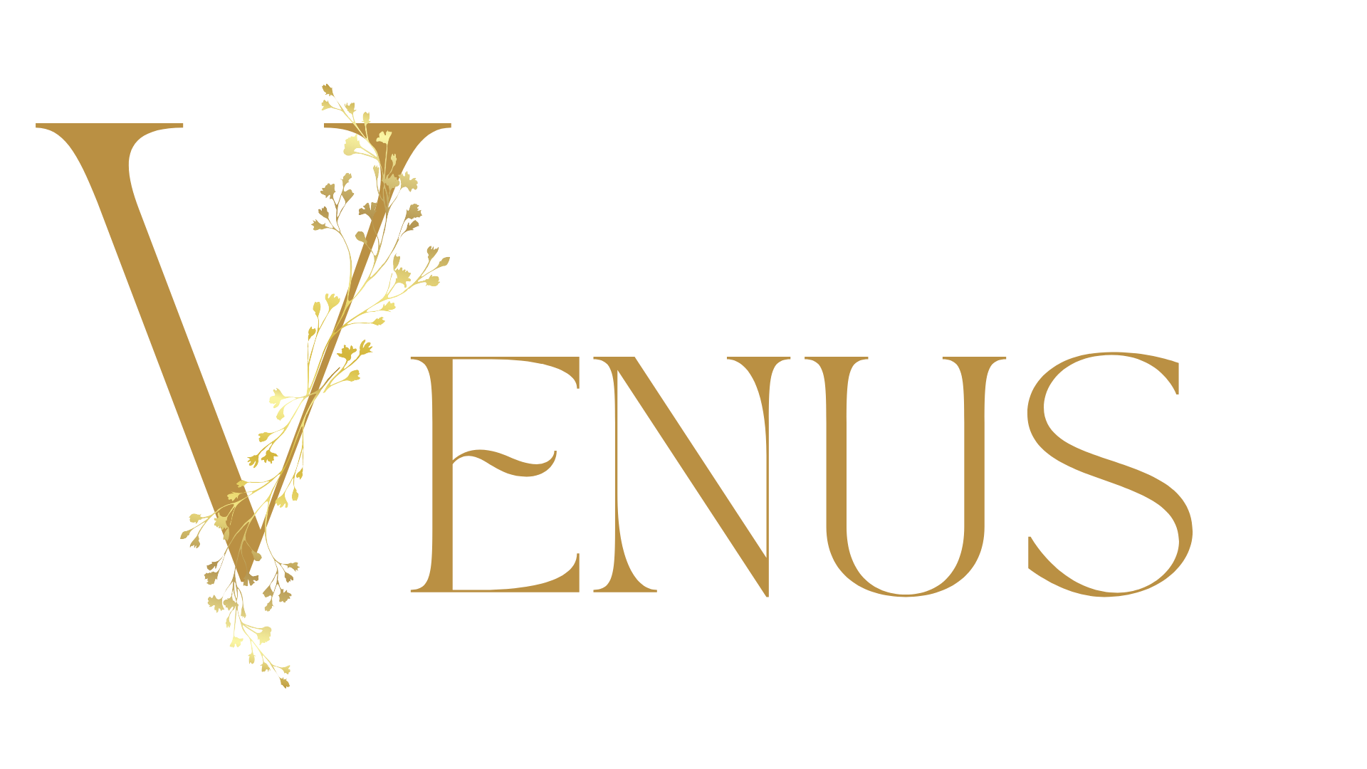 Venus Manager – Logo